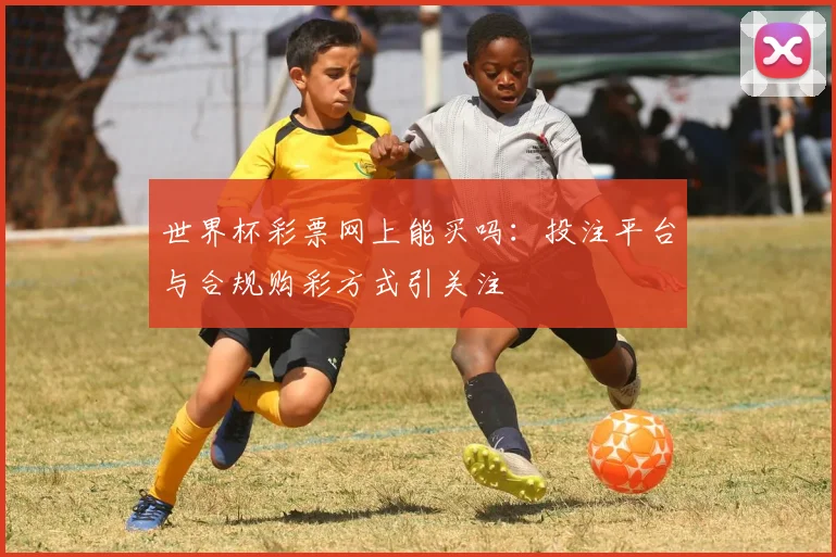 世界杯彩票网上能买吗：投注平台与合规购彩方式引关注