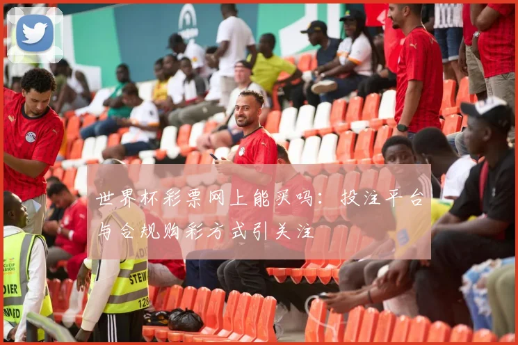 世界杯彩票网上能买吗：投注平台与合规购彩方式引关注